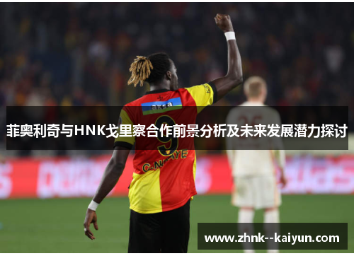 菲奥利奇与HNK戈里察合作前景分析及未来发展潜力探讨