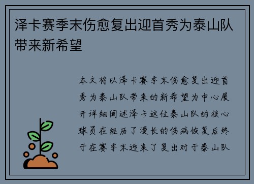 泽卡赛季末伤愈复出迎首秀为泰山队带来新希望