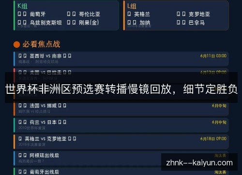 世界杯非洲区预选赛转播慢镜回放，细节定胜负
